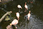 DSC_9173.JPG